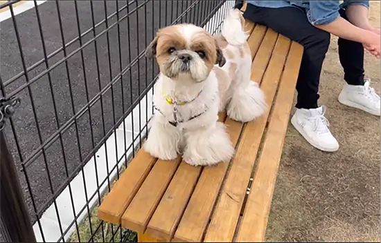 島根県大田市/道の駅ごいせ仁摩/ドッグラン/ベンチ