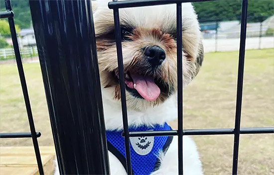 島根県大田市/道の駅ごいせ仁摩/ドッグラン/小型犬エリア