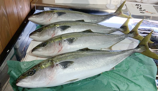 島根県大田市/道の駅ごいせ仁摩/直売・物販/鮮魚