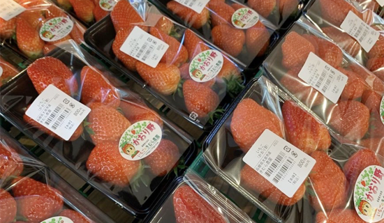 島根県大田市/道の駅ごいせ仁摩/直売・物販/青果