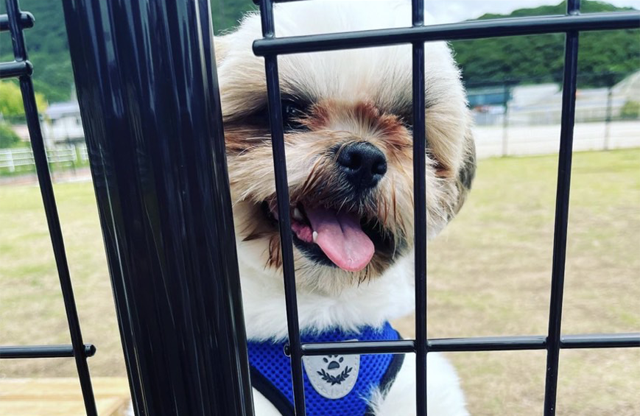 島根県大田市/道の駅ごいせ仁摩/ドッグラン