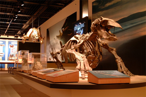 島根県大田市/道の駅ごいせ仁摩/周辺観光/島根県立三瓶自然館　サヒメル