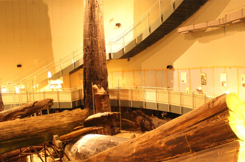 島根県大田市/道の駅ごいせ仁摩/周辺観光/三瓶小豆原埋没林公園