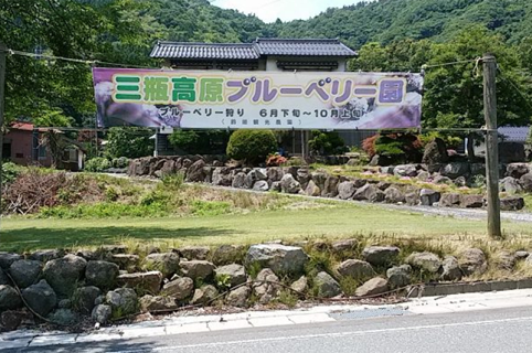 島根県大田市/道の駅ごいせ仁摩/周辺観光/三瓶高原ブルーベリー農園