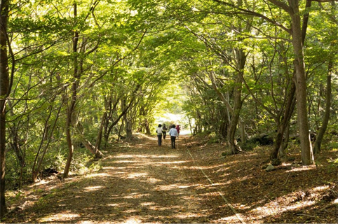 島根県大田市/道の駅ごいせ仁摩/周辺観光/三瓶山ヘルシートレイリングコース