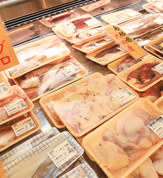 島根県大田市/道の駅ごいせ仁摩/スライダー